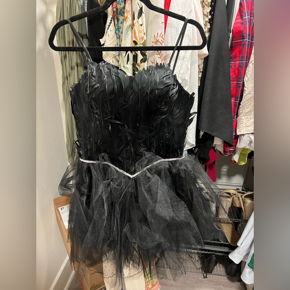 Black Swan Costume Dress